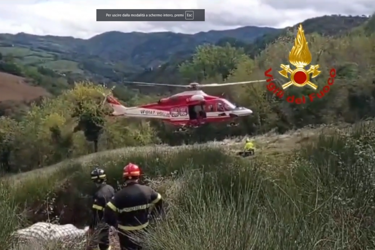 mucca tredozio 5-10-24 FC