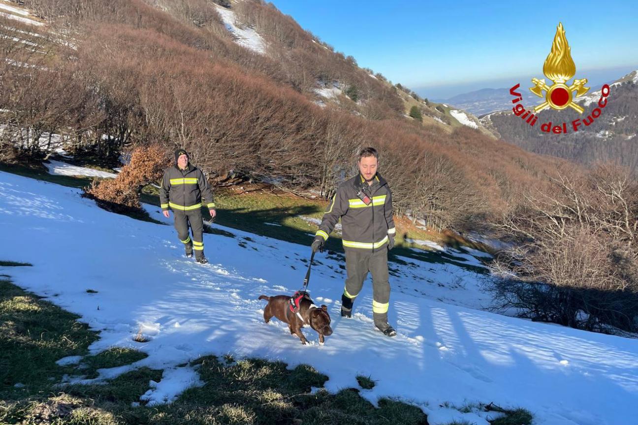 Salvataggio di un cane