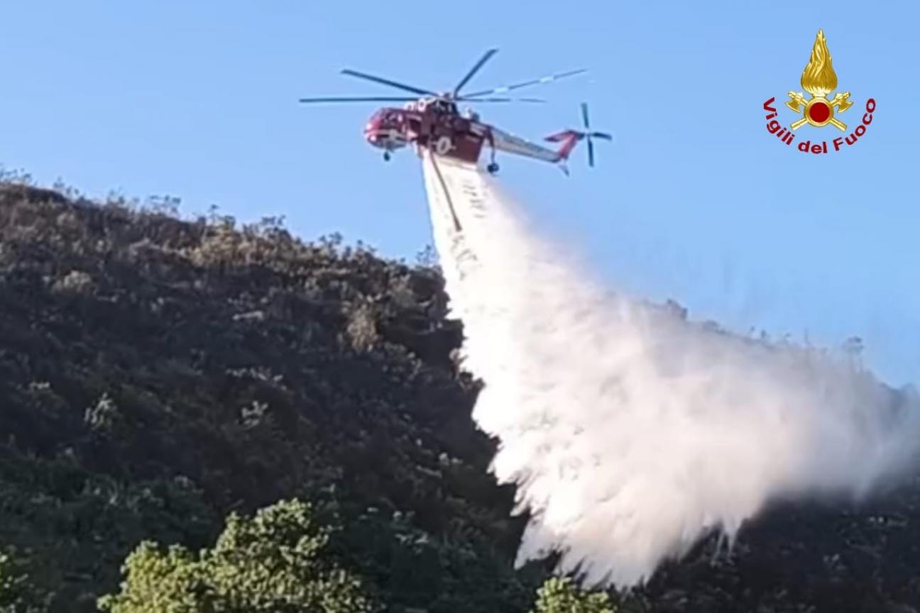 incendio vegetazione