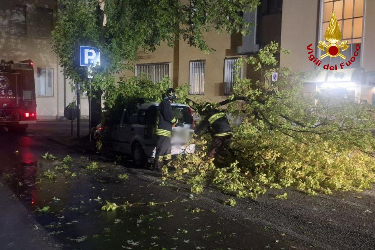 Caduta Rami San Vito