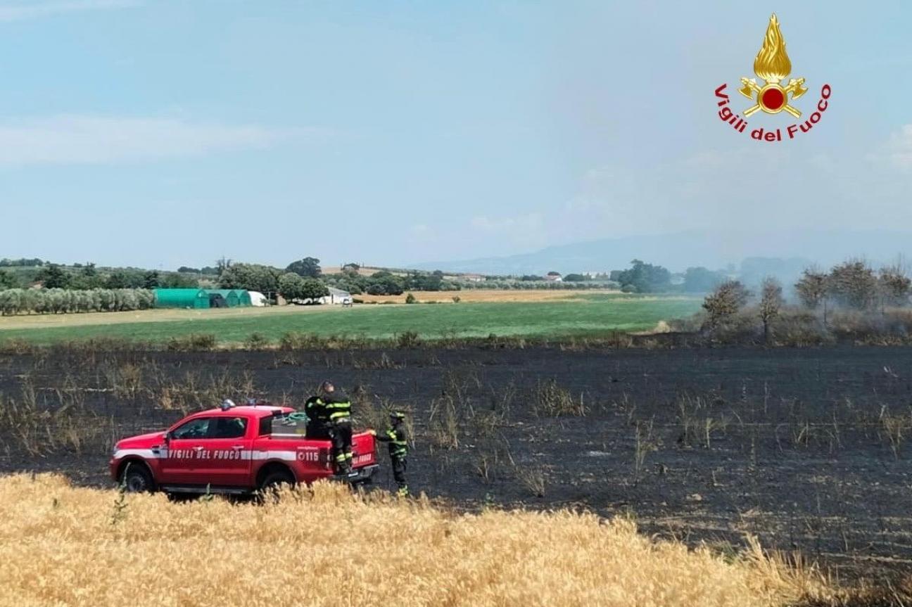 incendio grano