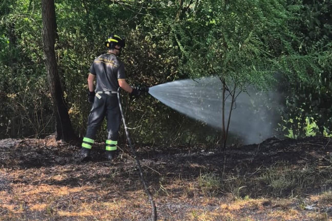 Incendio sterpaglie 