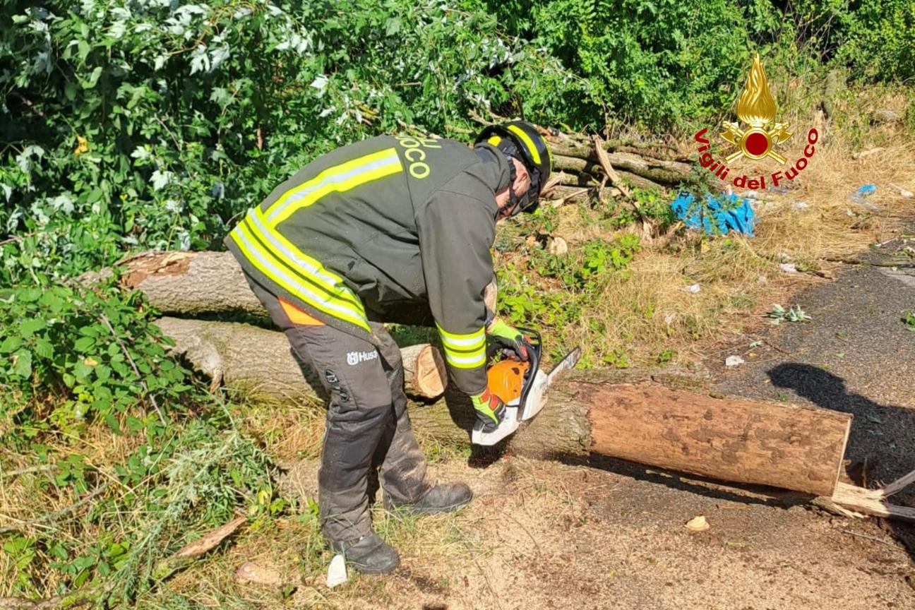 ingombro sede stradale