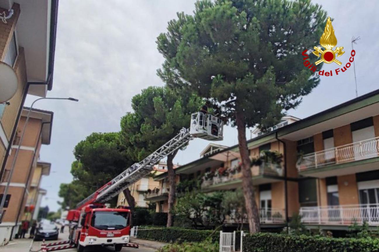 RIMOZIONE PARTI PERICOLANTI