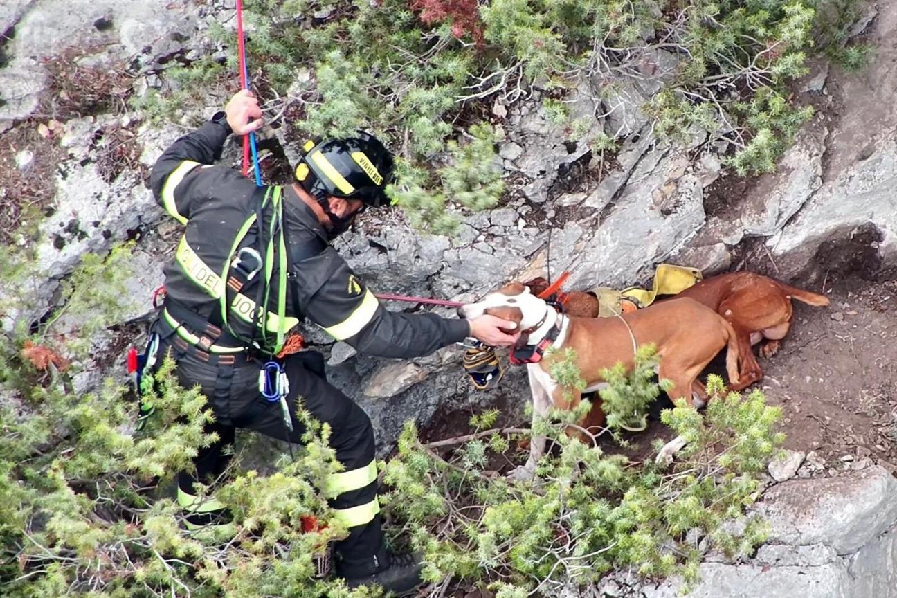 L’Aquila. Salvataggio di cani da caccia in area impervia.
