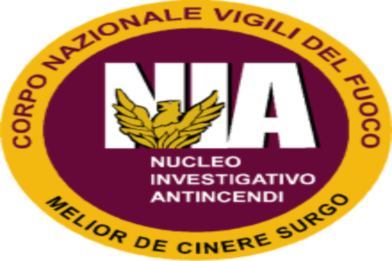 NIA VVF