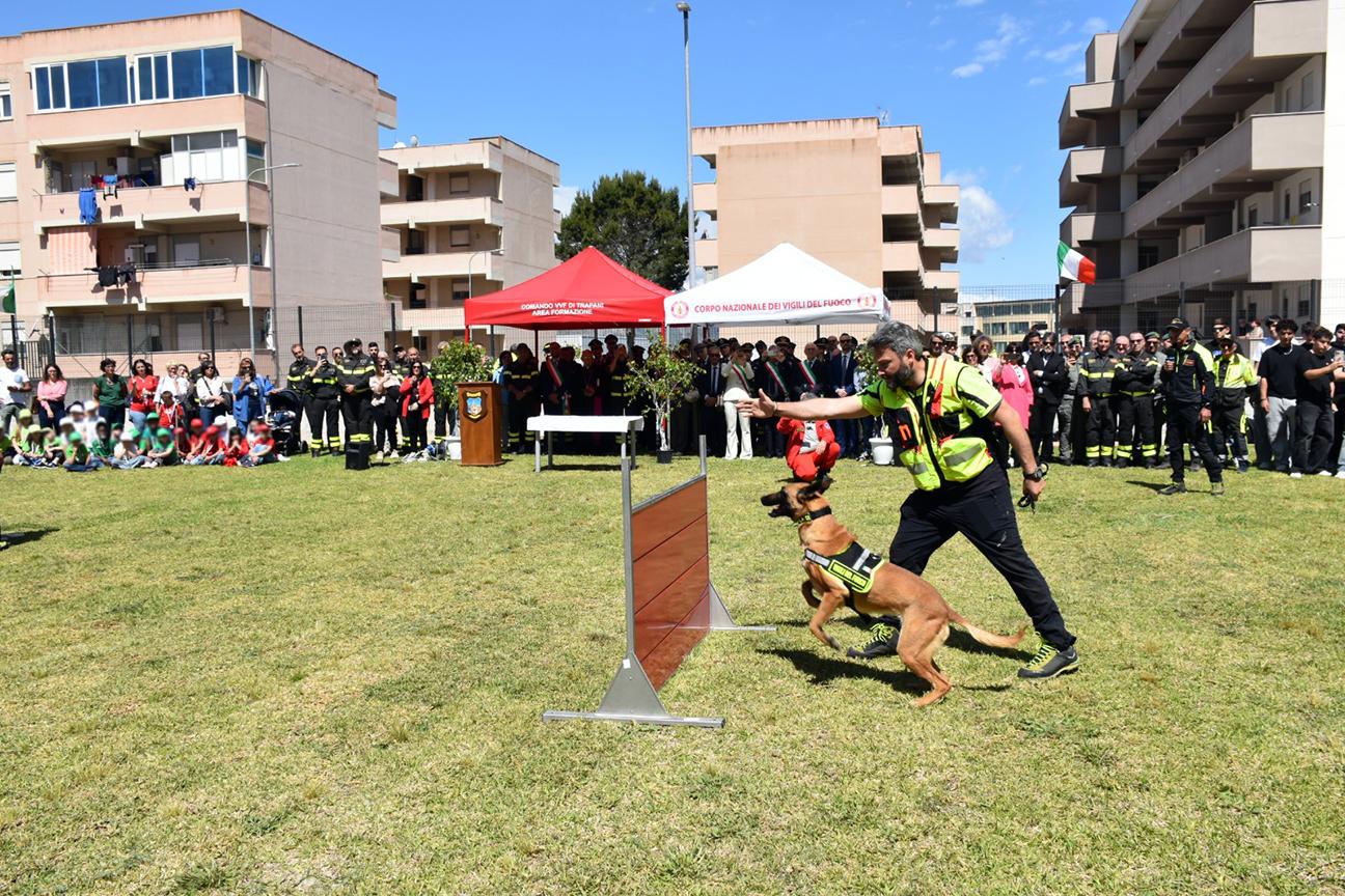 campo addestramento cinofili