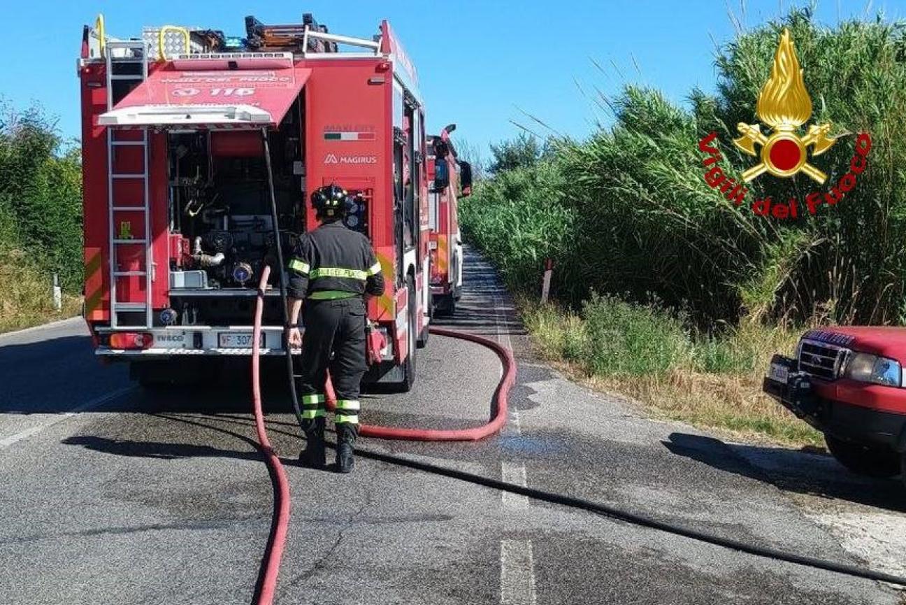 incendio vegetazione