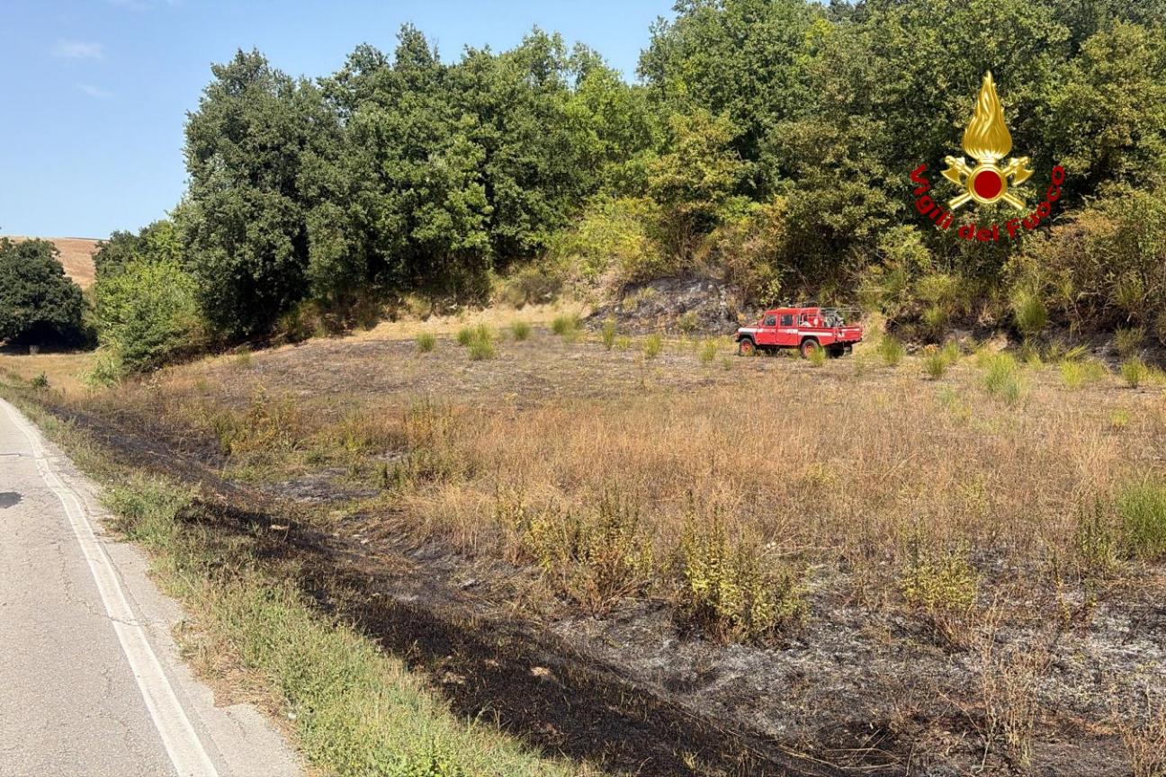 incendio vegetazione