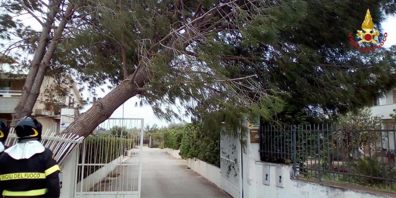 Immagine di sfondo