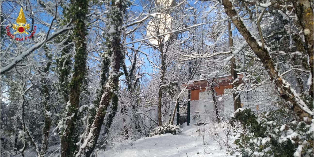 Immagine di sfondo