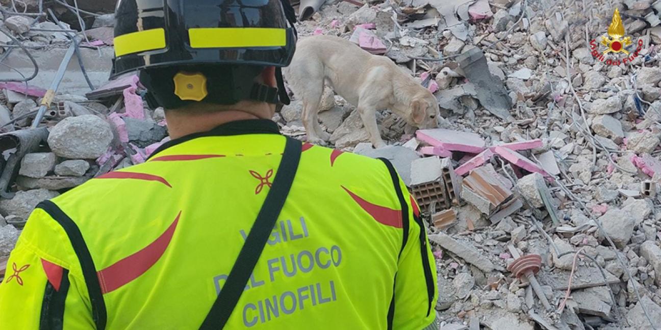 Immagine di sfondo