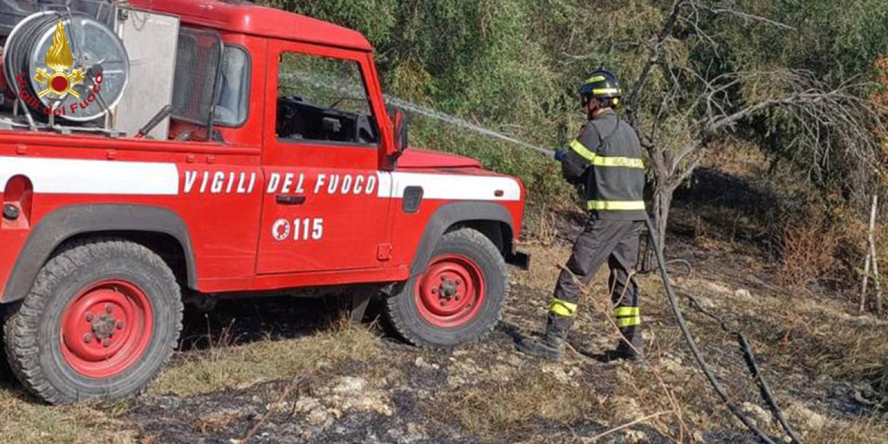 Ascoli Piceno, incendio vigneto