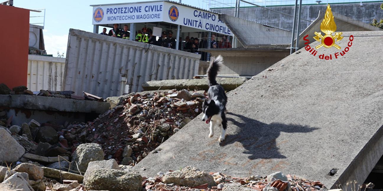 Immagine di sfondo