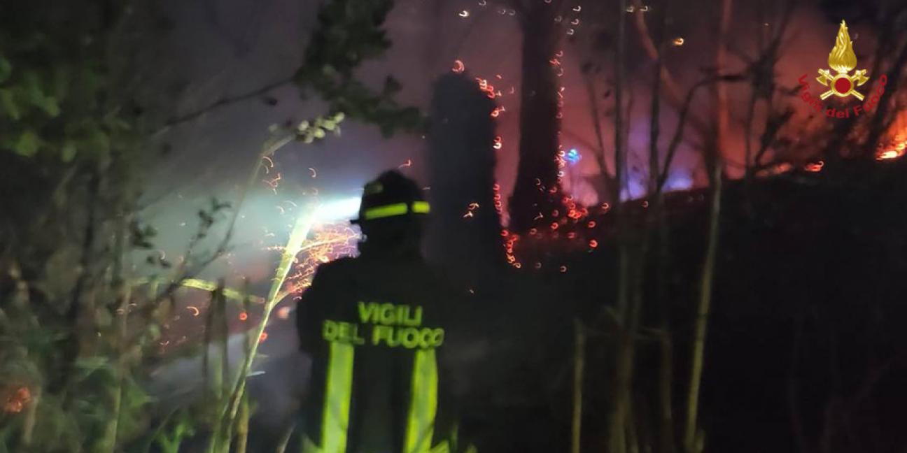 Ascoli Piceno, incendio nel vivaio