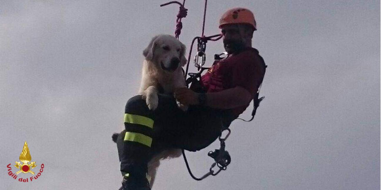 Reggio Emilia, addio a Cartier. Vigile del Fuoco a quattro zampe
