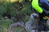 Esercitazione SAF alle Cascate del Verde di Borrello